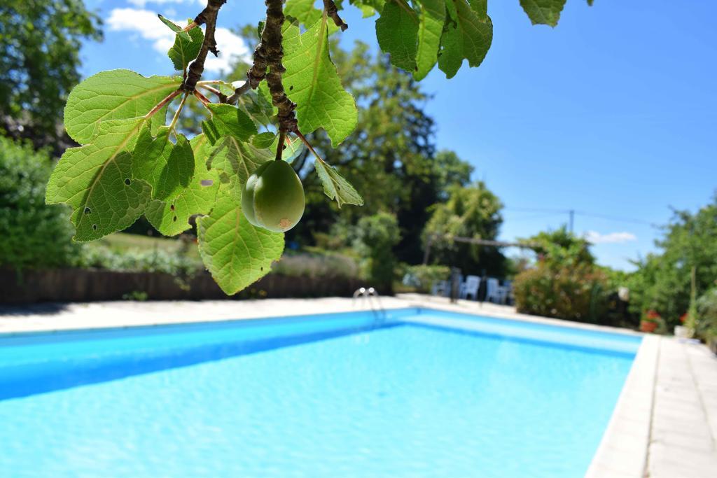 Bed and Breakfast Camping Chez Francis Loupiac  Екстер'єр фото